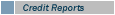 Credit Reports